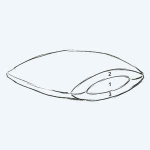 Goose Down Pillow PURE SLEEP (3 chambers)
